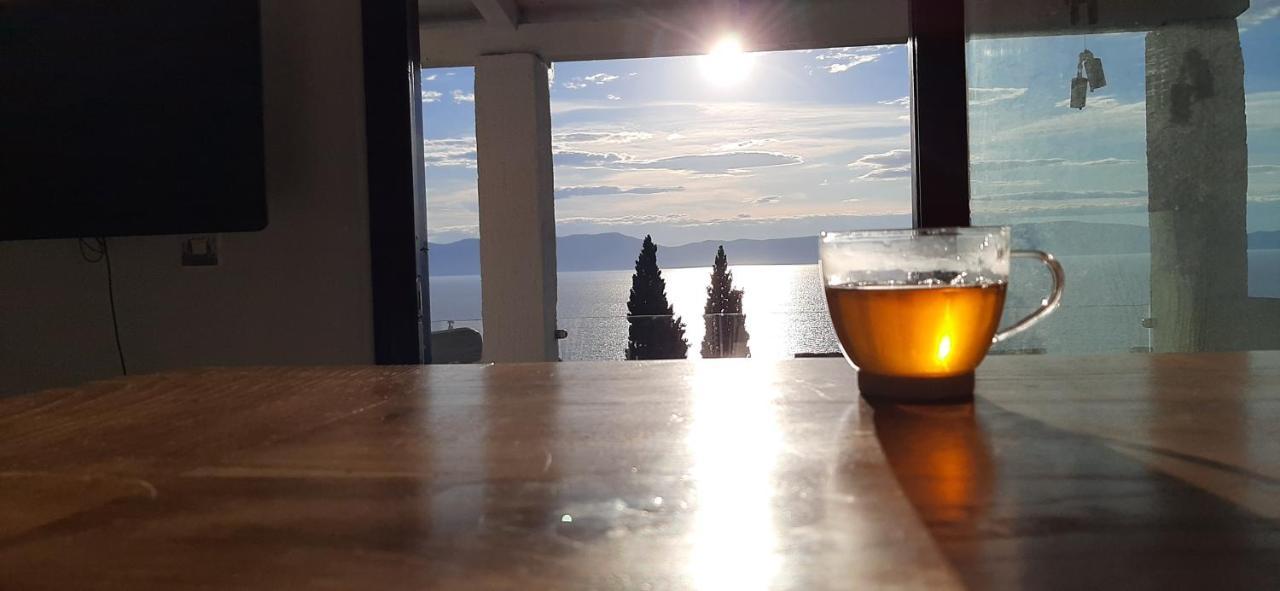 Lavandula Labin  Bagian luar foto