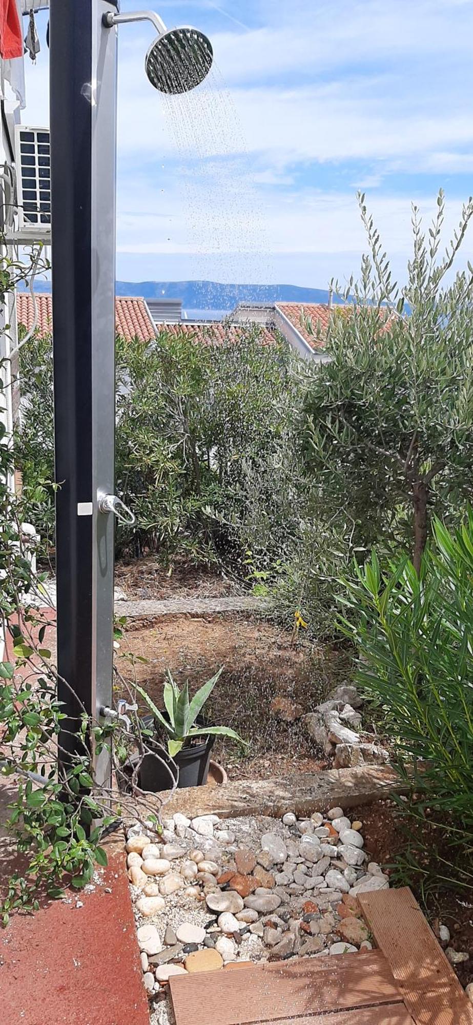 Lavandula Labin  Bagian luar foto